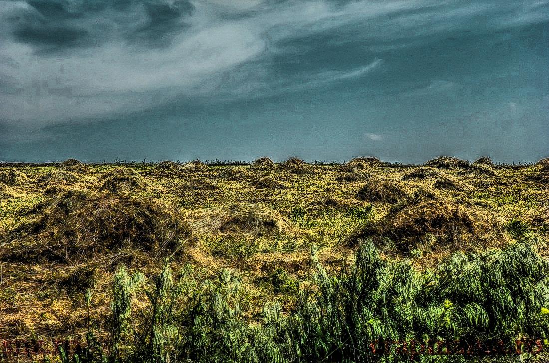 Party Cup (2) - 2013 - 1010379hdrmode2.JPG